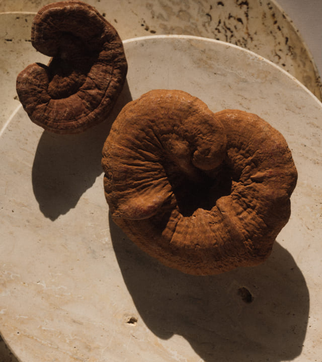 KEY BOTANICAL